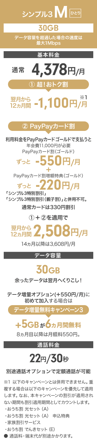 「シンプル3 M」をひとりで使う料金例