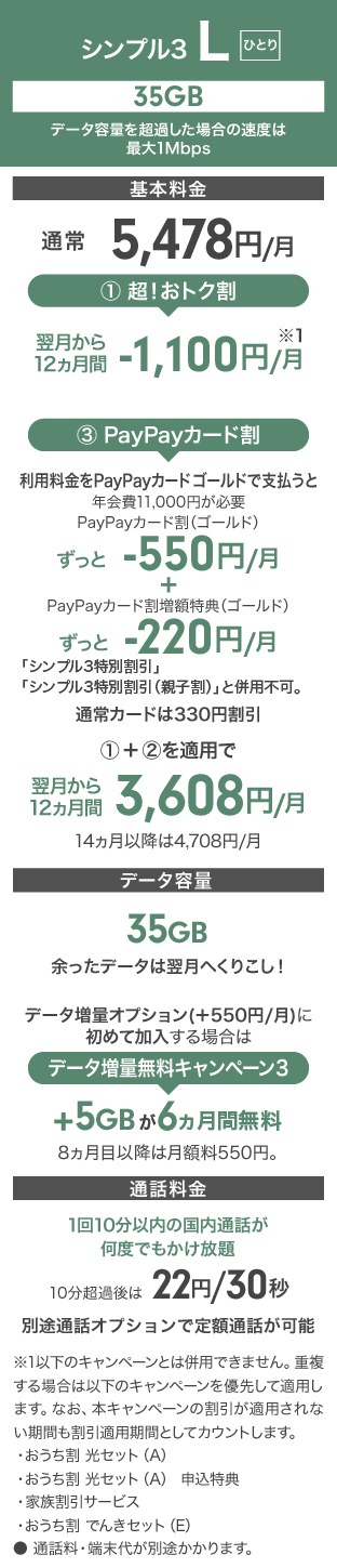「シンプル3 L」をひとりで使う料金例